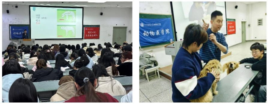 动物科技学院